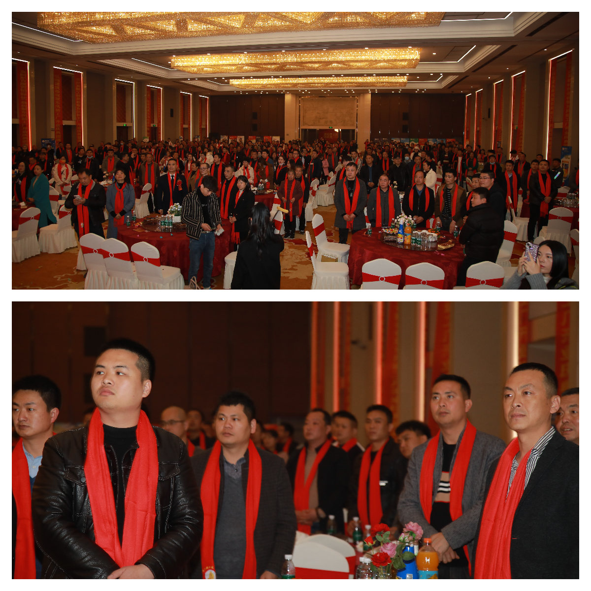 湖南聚東鳳涂料科技有限公司,湖南防水品牌,懷化防水廠家,懷化防水涂料批發(fā)