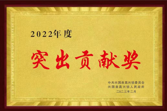 高興鎮(zhèn)突出貢獻(xiàn)獎
